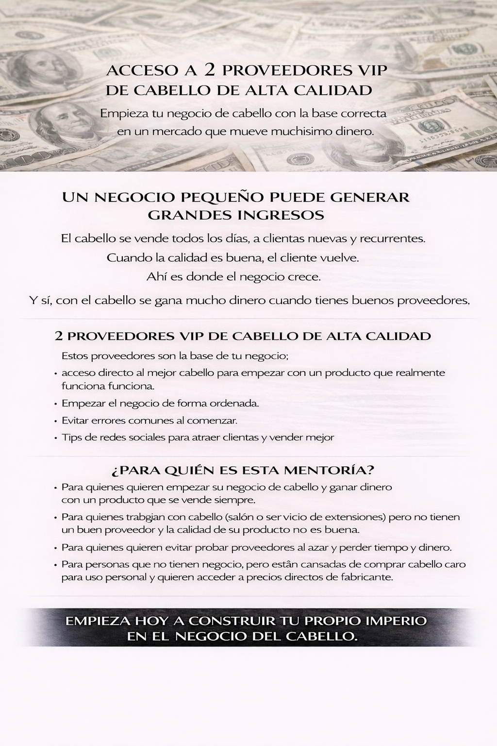 Mentoria + Proveedores VIP