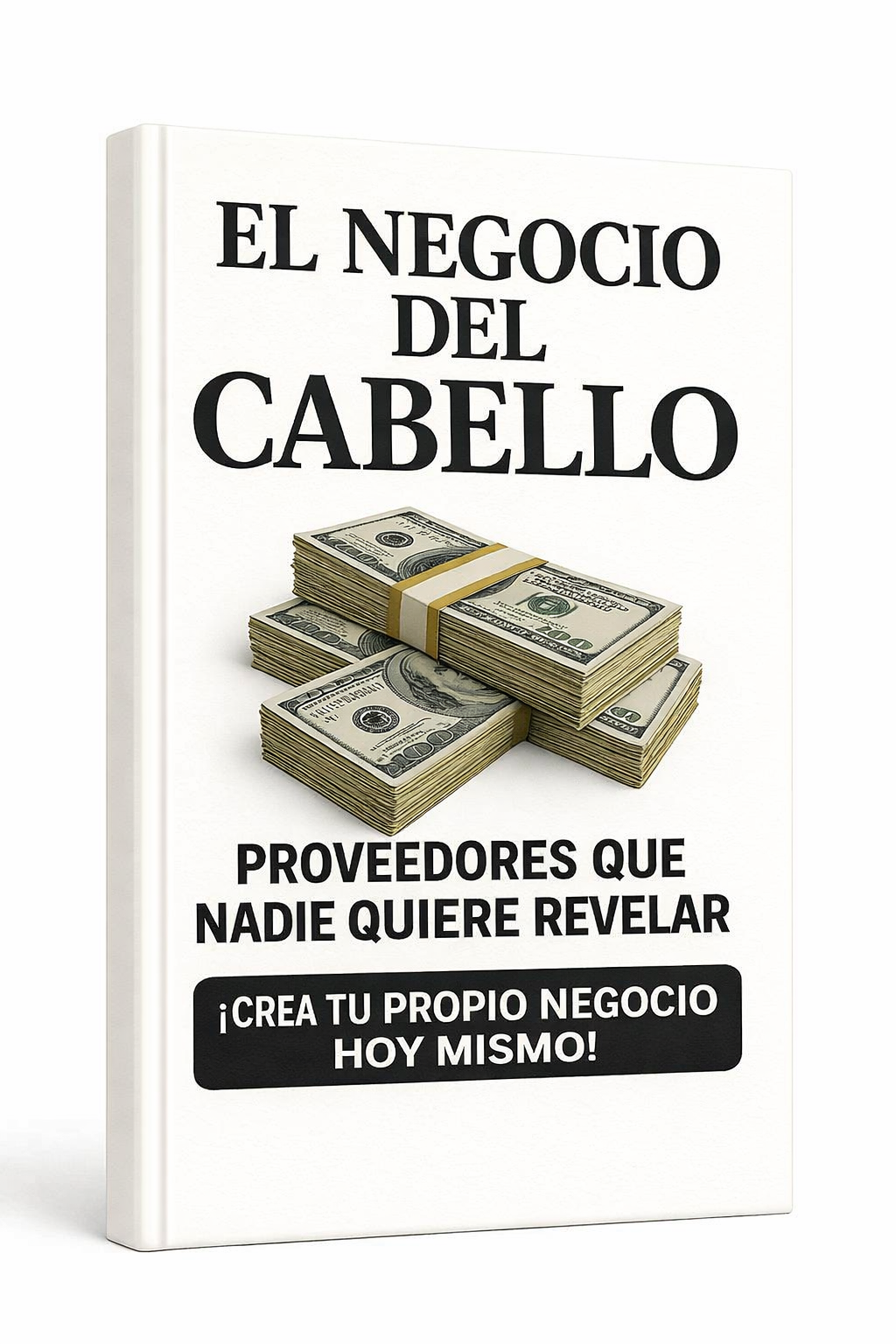 Mentoria + Proveedores VIP